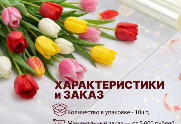 Пленка чистая 500мм/10,5м/200гр 40мкм (10шт)